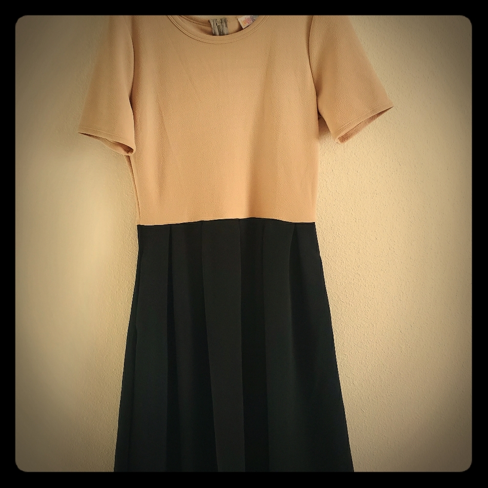 NEW Lularoe Amelia Knee Length Pleated Dress Med